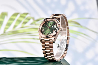 PAGANI DESIGN 2025 DD40 Men's Watches Luxury Automatic Watch Men AR Sapphire Glass Mechanical Wristwatch Men 10Bar Japan NH36A